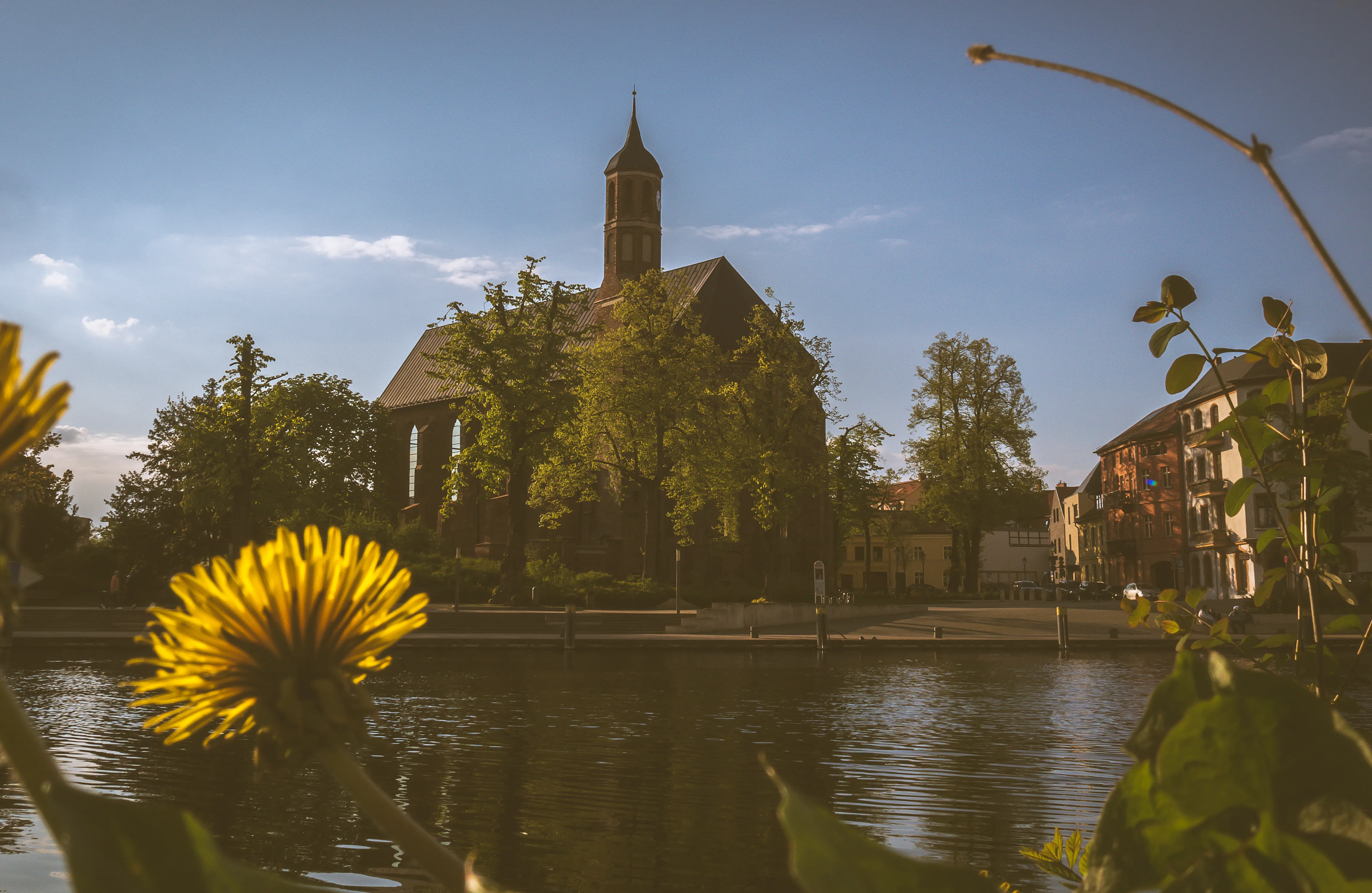 St.-Johannis-Kirche Brandenburg an der Havel mit blühendem Löwenzahn im Vordergrund — Wirkung wächst aus Zuwendung.